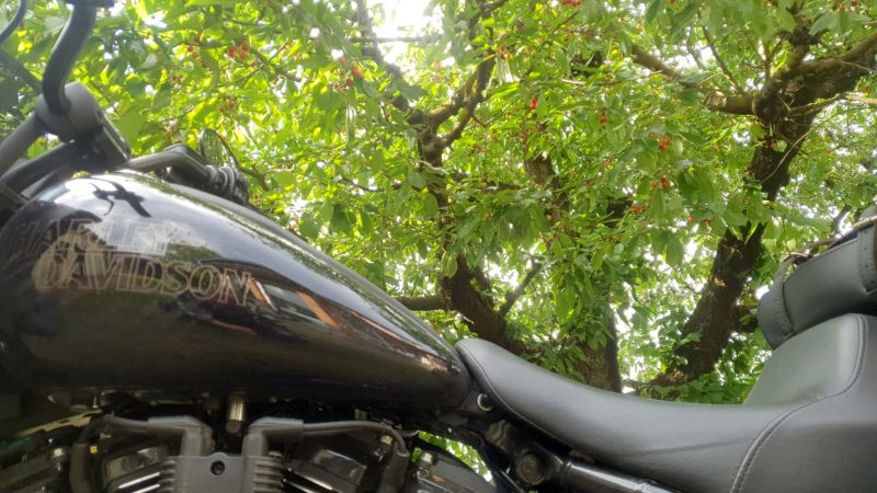 trebnitzstein_2024_028