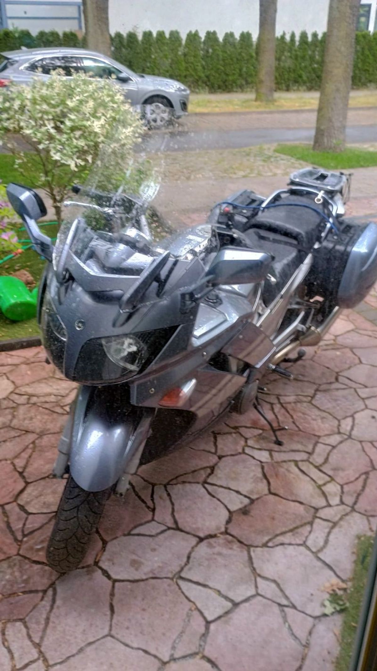 trebnitzstein_2024_033