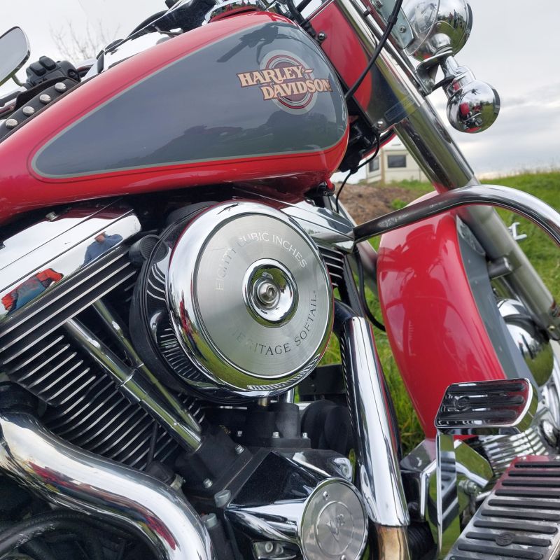 trebnitzstein_2024_036